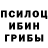 Галлюциногенные грибы прущие грибы Prabu Sundararajan